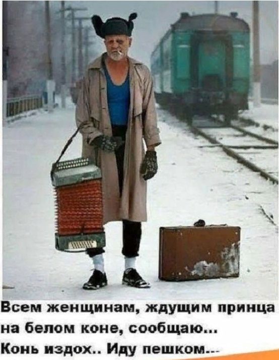 Всем женщинам ждущим принца на белом коне сообщаю Конь вздох Иду пешкрм