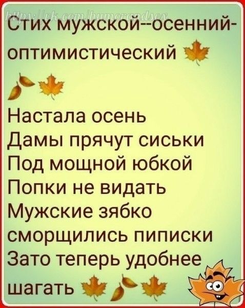 СТИХ мужскойосенний оптимистический д Настала осень Дамы прячут сиськи Под мощной юбкой Попки не видать Мужские зябко сморщипись пиписки Зато теперь удобнее шагать