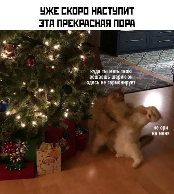 НЖЕ ЕКПРП НдЕТНПИТ ЗТд ПРЕКРАСНАЯ ППРд і г Я куда ты чаті тию ПЕШЗЕШЪ шарик здесь не гармонирует щ Ё е при