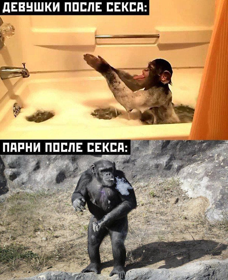 Девушки после секся: