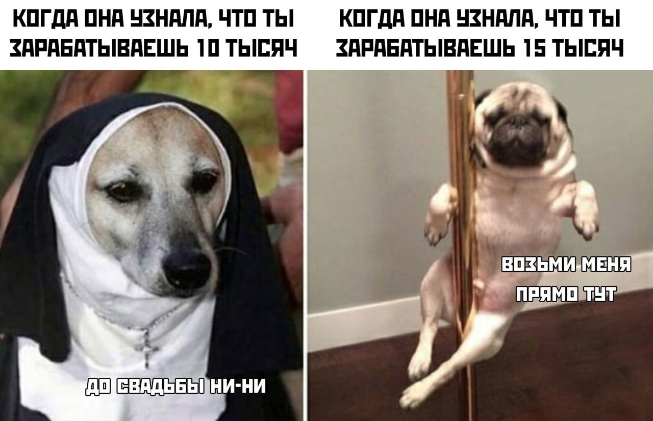 КПГдд ПНП НЗНПЛП ЧТП ТЫ КПГдд ПНП НЗНдЛд ЧТП ТЫ ЗдРдЕдТЫВдЕШЬ Ш ТЫСЯЧ ЗдРдЕдТЫВдЕШЬ 15 ТЫСЯЧ 8 к