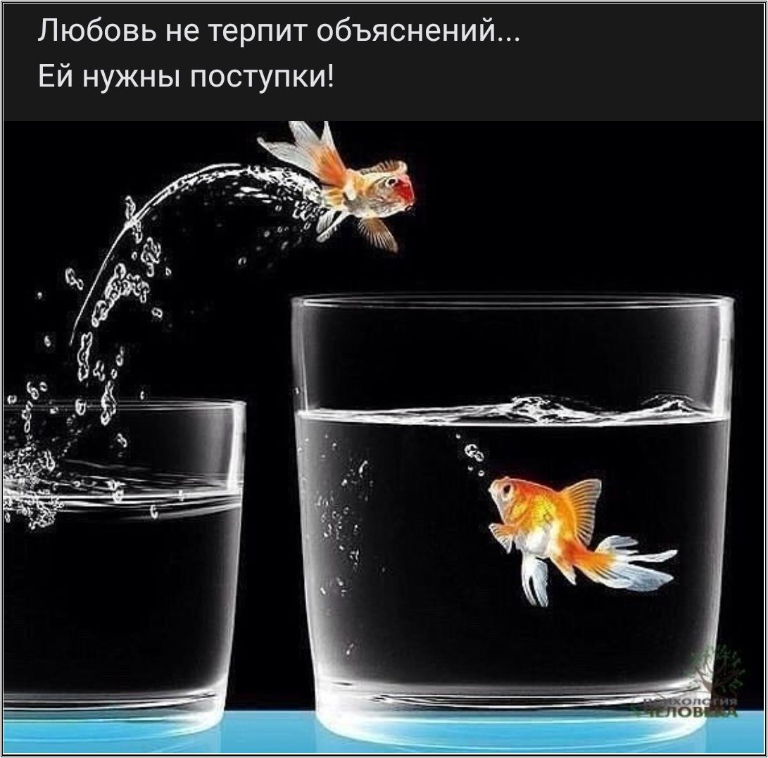 Любовь не терпит объяснений Ей нужны поступки