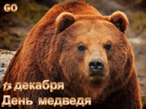 декабря День медведя