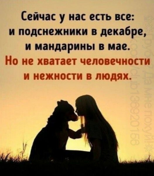 Сейчас у нас есть все и подснежники в декабре И мандарины В мае