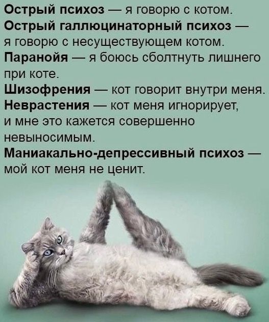 Острый психоз я говорю с котом Острый гаплюцинаторный психоз я говорю несуществующем котом Паранойя я боюсь сбоптнуть лишнего при коте Шизофрения кот говорит внутри меня Неврастения кот меня игнорирует и мне это кажется совершенно невыносимым Маниакапьио депрессивный психоз мой кот меня не ценит