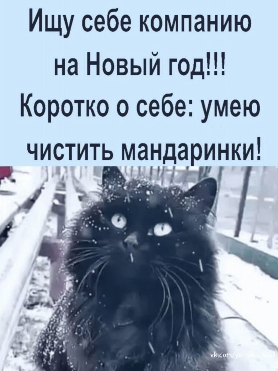 Ищу себе компанию на Новый год Коротко о себе умею чистить мандаринки _ _тн _ Ъ _