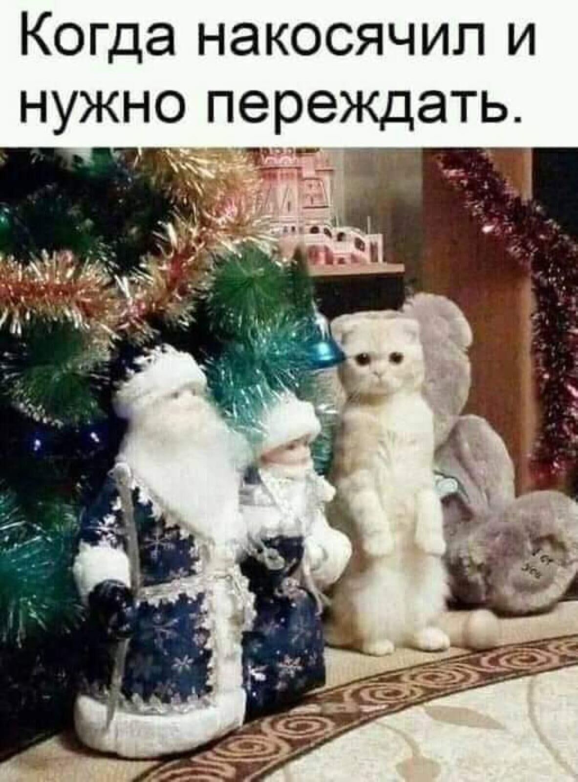 Когда накосячил и нужно переждать 19 е ч