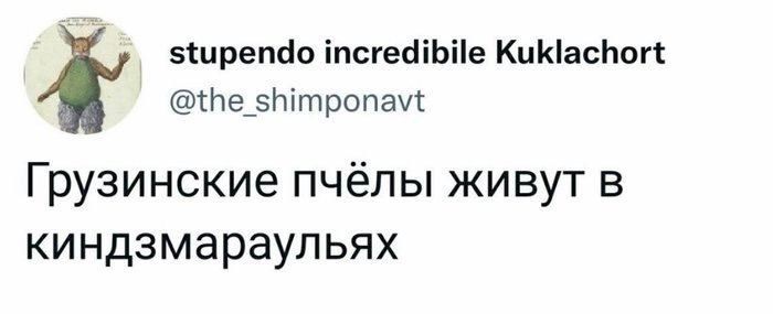 зсцрепао іпсгесііЬііе КиКіасЬогі Ье_5Ьітропат Грузинские пчёлы живут в КИНДЗМЭрЭУЛЬЯХ