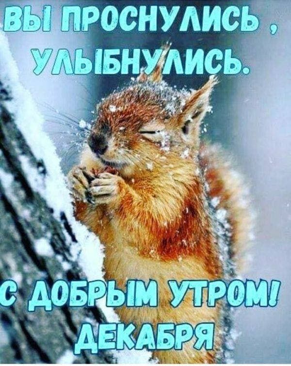 ш ыпроснудись О