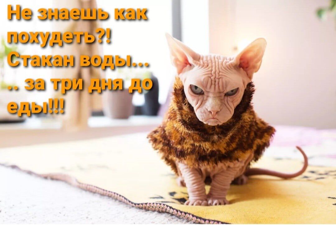 На зла П вши лм 153 г Шамаш лы 31 гр зы