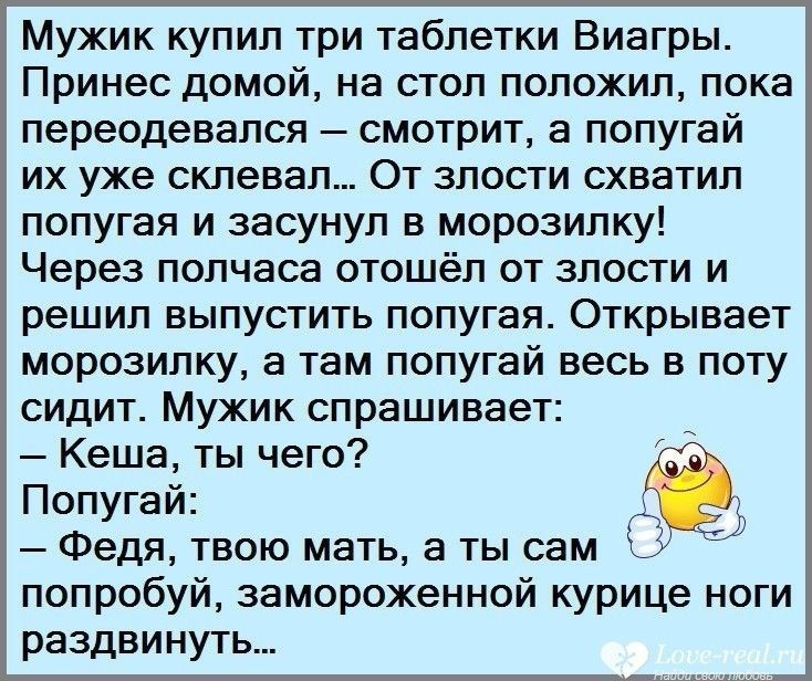 Мужик купил три таблетки Виагры Принес домой на стол положил пока переодевался смотрит а попугай их уже склевал От злости схватил попугая и засунул в морозилку Через полчаса отошёл от злости и решил выпустить попугая Открывает морозилку а там попугай весь в поту сидит Мужик спрашивает Кеша ты чего Попугай Федя твою мать а ты сам попробуй замороженной курице ноги раздвинуть