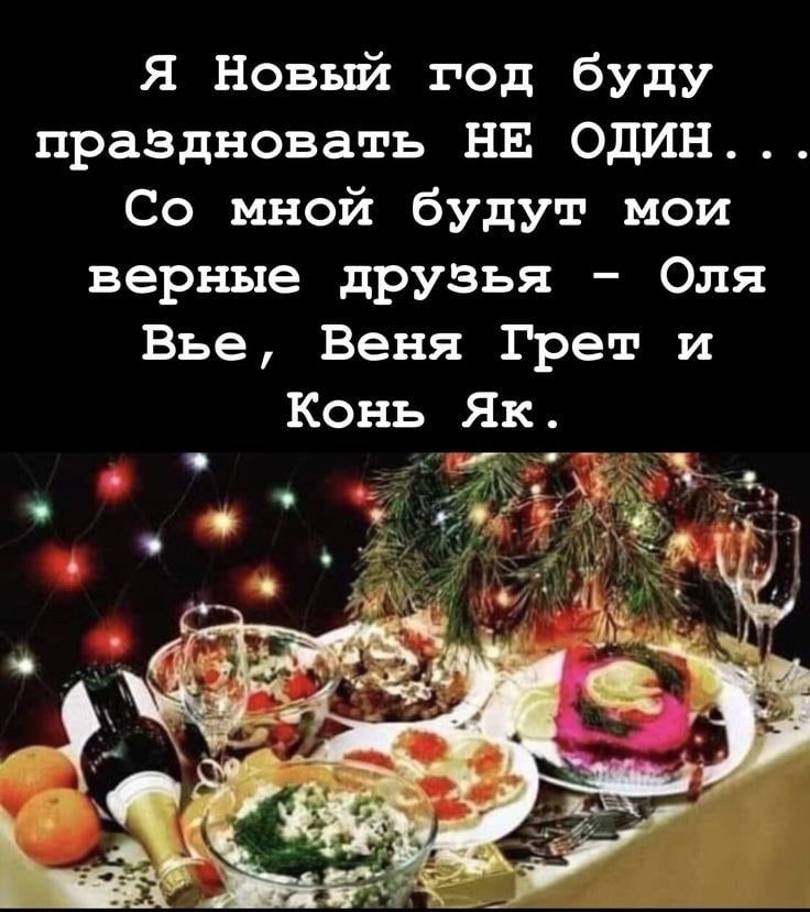 Я Новый год буду праздновать НЕ ОДИН Со мной будут мои верные друзья Оля Вье Веня ГРет и Конь Як