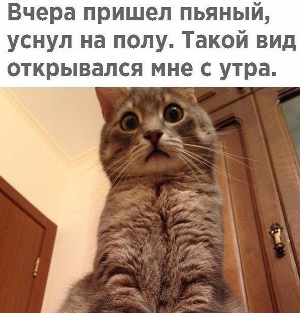 Вчера пришел пьяный уснул на полу Такой вид открывался мне с утра