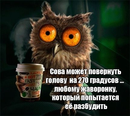 038 поищу голову на градусов пюпп воппииу Ш п пытавтвя котов ШШЕУДИТЬ