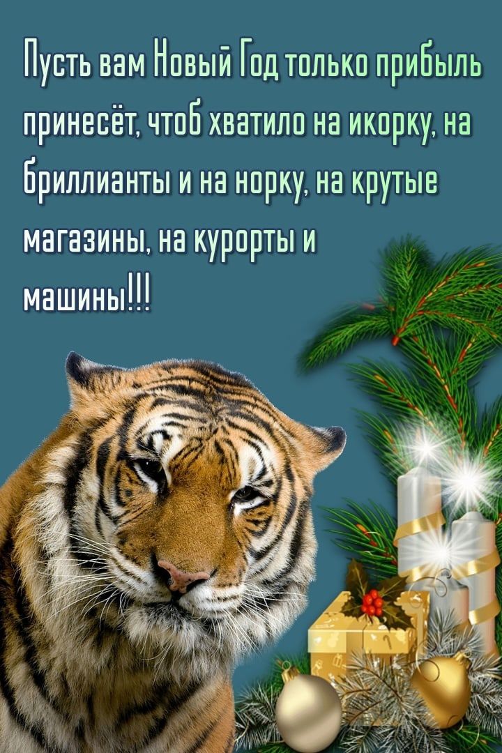 Пусть вам Нпвый Гпд тплькп приБыль принесёт чтпБ хватило на икпрку на Бриллианты и на нпрку на крутые магазины на курорты и машины