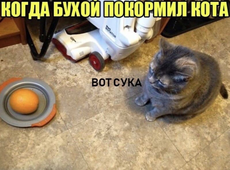 МДА БШШИ ПВНРМИЛНПТА