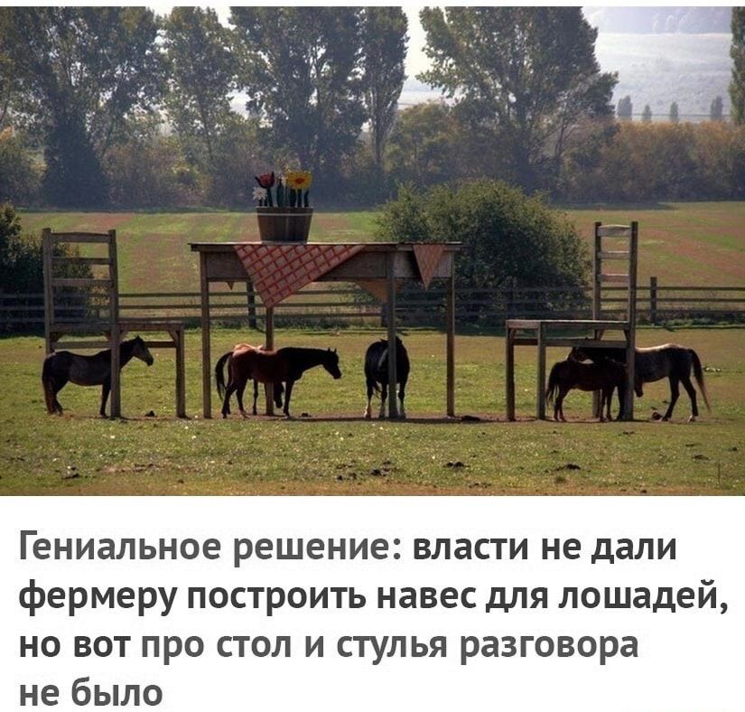 Гениальное решение власти не дали фермеру построить навес для лошадей но вот про стол и стулья разговора не было