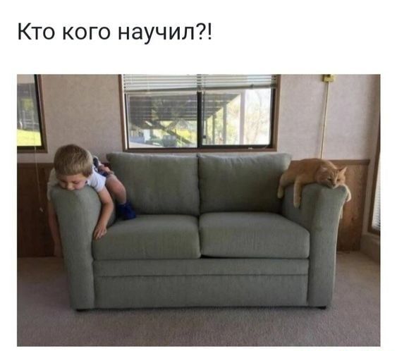Кто кого научил