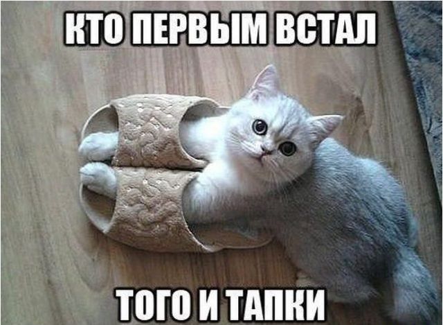 Бр 541 МШ ПЕРВЫМ _ВВПШ ЮШ И ТАПНИ