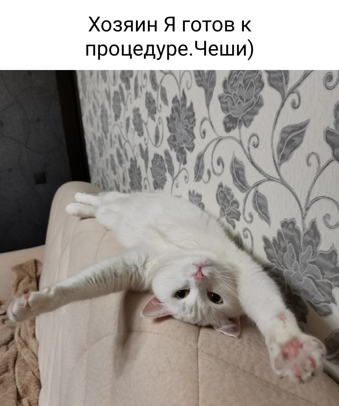 Хозяин Я готов к