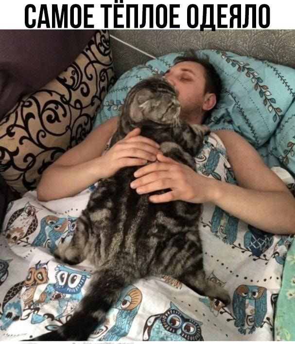 САМОЕ ТЕПЛОЕЩ ЕЯЛО