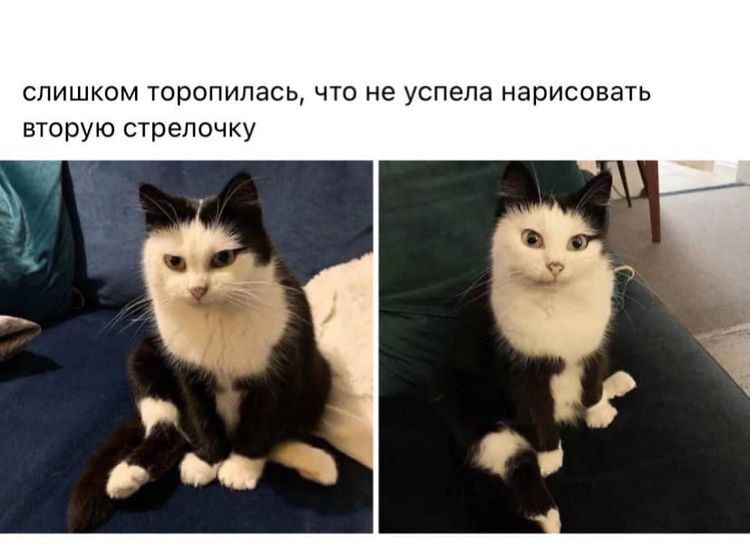 слишком торопилась что не успела нарисовать вторую стрелочку