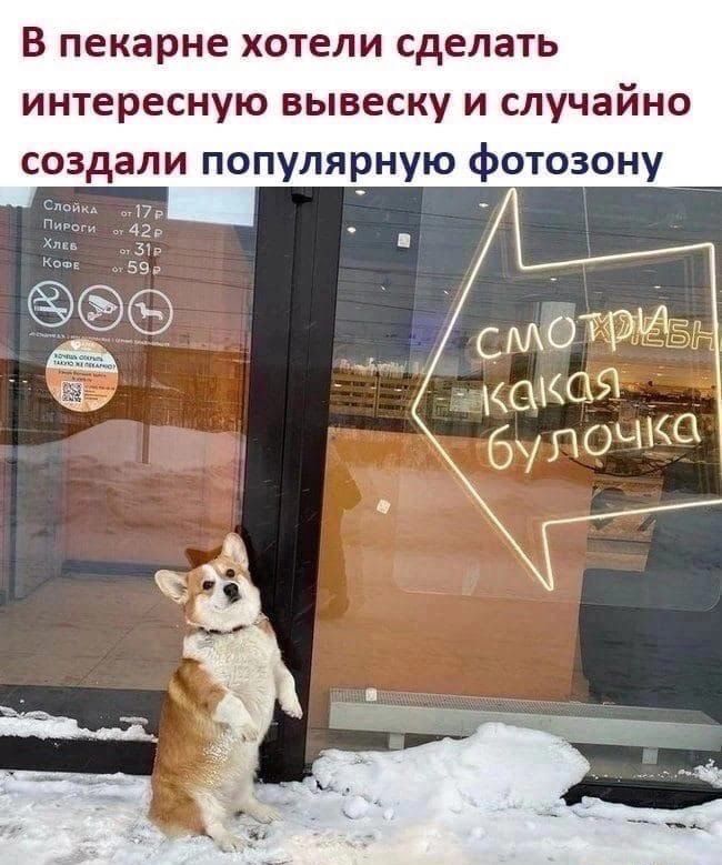 В пекарне хотели сделать интересную вывеску и случайно создали популярную фотозону