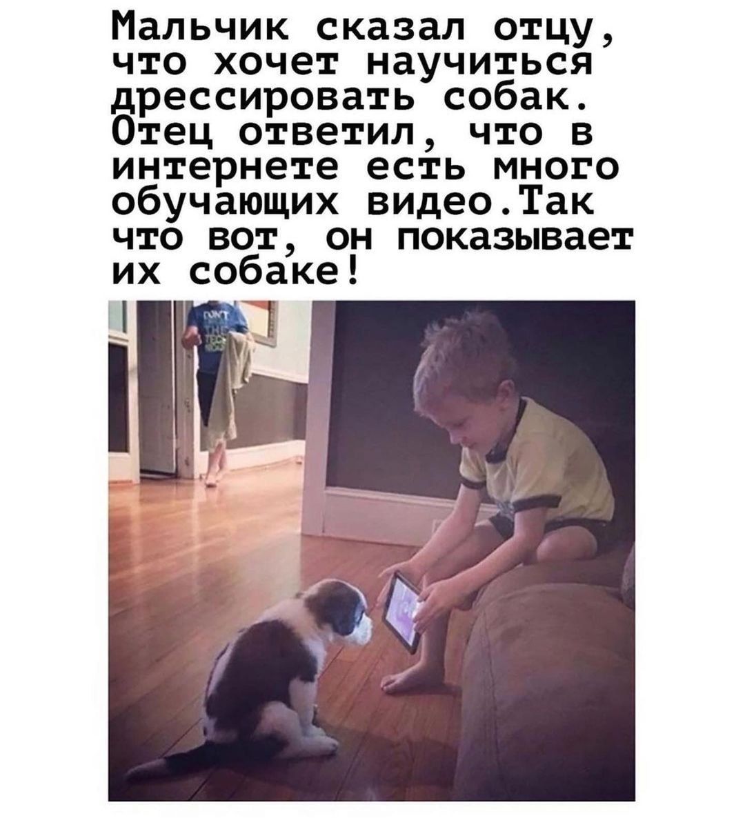 Мальчик сказал отцу что хочет научиться дрессировать собак Отец ответил что в интернете есть много обучающих видеоТак что вот он показывает их собаке