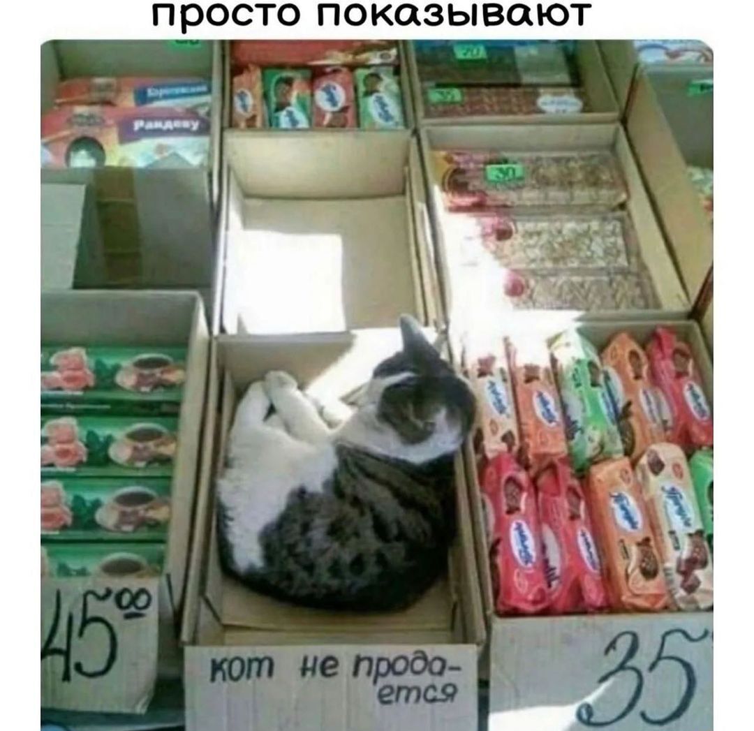 просто показывают