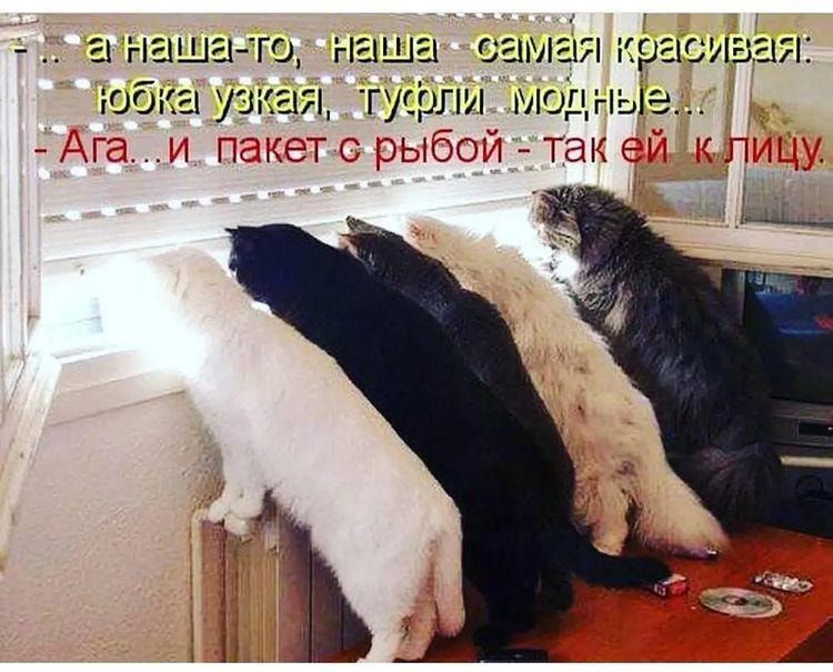 анашато наша самая красивая юбка узкая туфли хищные Г3і пгчкето рыбой так ей тслгііцс _ г _