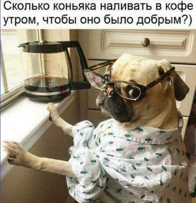 Сколько коньяка наливать в кофе утром чтобы оно было добрым