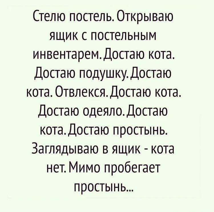 Стелю постель Открываю ящик с постельным инвентаремдостаю кота Достаю подушку Достаю кота ОтвлексяДостаю кота Достаю одеялоДостаю котаДостаю простынь Заглядываю в ящик кота нет Мимо пробегает простынь