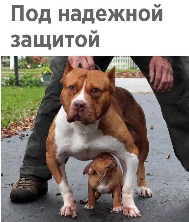 Под надежной й
