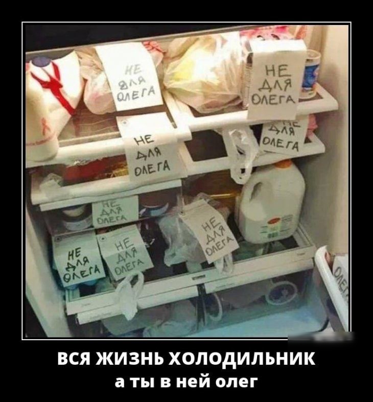 ВСЯ ЖИЗНЬ ХОЛОДИЛЬНИК а ты в ней олег
