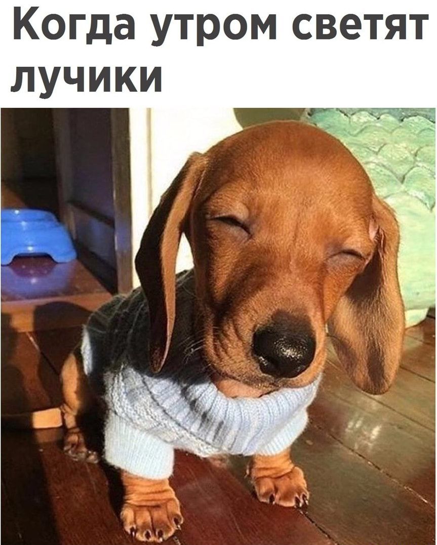 Когда утром светят лучики