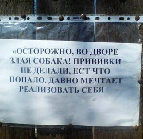 11КН ВОДВОИС Я 1РНВПВКН _ ЧТО ЦВНО НЗЧГАЕТ ис ЮВАТЬ СЕБЯ
