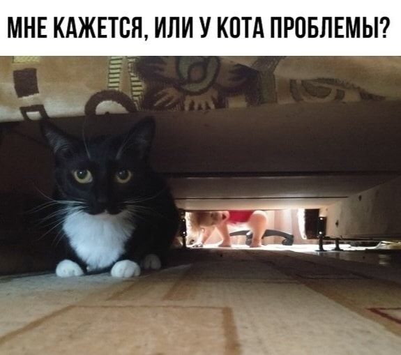 МНЕ КАЖЕТСЯ ИЛИ У КПТА ПРОБЛЕМЫ _ и __ дт 7 __ Ъдаш