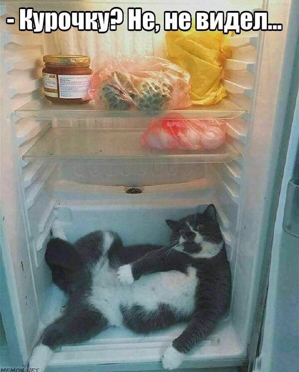 ШЁЩ 7 и _