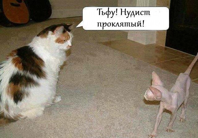 Тьфу Нуди ст прокдятый