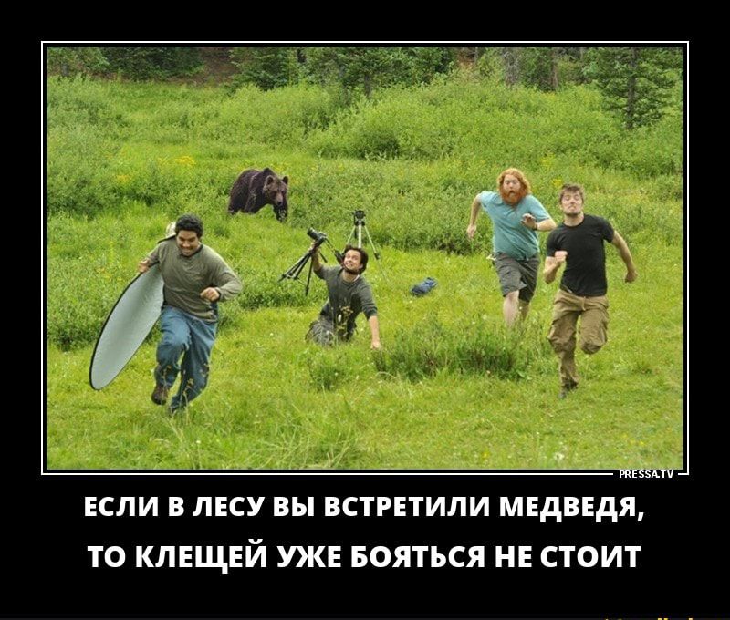 _ _ 1 ЕСЛИ В ЛЕСУ ВЫ ВСТРЕТИЛИ МЕДВЕДЯ ТО КЛЕЩЕЙ УЖЕ БОЯТЪСЯ НЕ СТОИТ