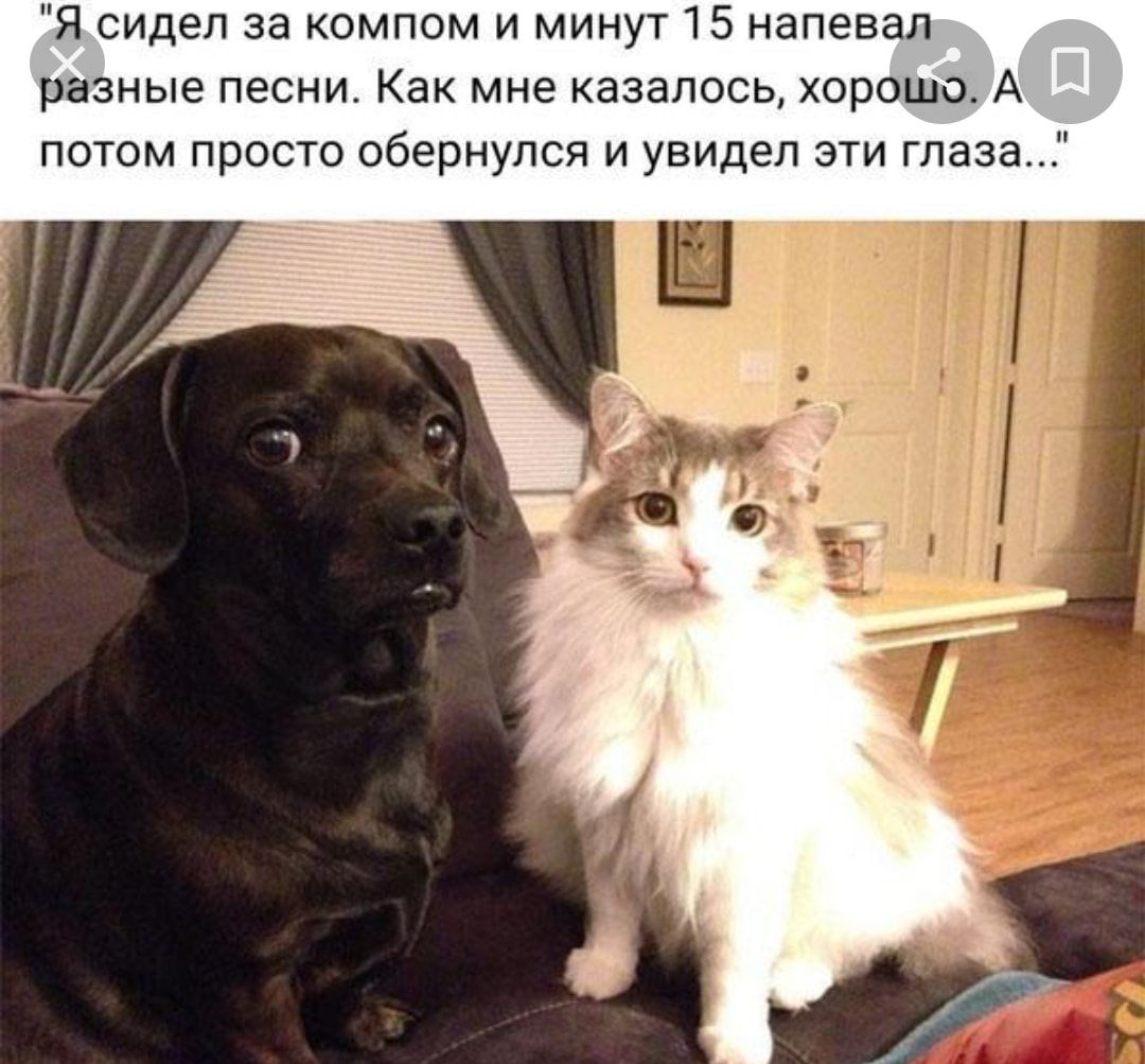 Я сидел за компом и минут 15 напевал разные песни Как мне казалось хорошо А потом просто обернулся и увидел эти глаза
