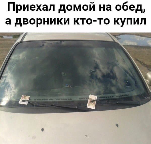Приехал домой на обед а дворники кто то купил