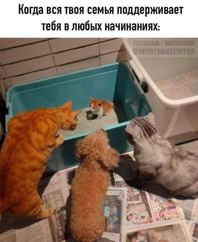 Когда вся твоя семья поддерживает тебя в любых начинаниях