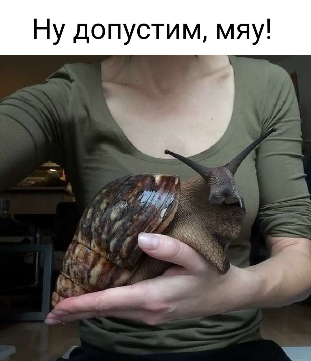 Ну допустим мяу