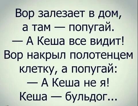 Вор залезает в дом а там попугай А Кеша все видит Вор накрыл полотенцем клетку а попугай А Кеша не я Кеша бульдог