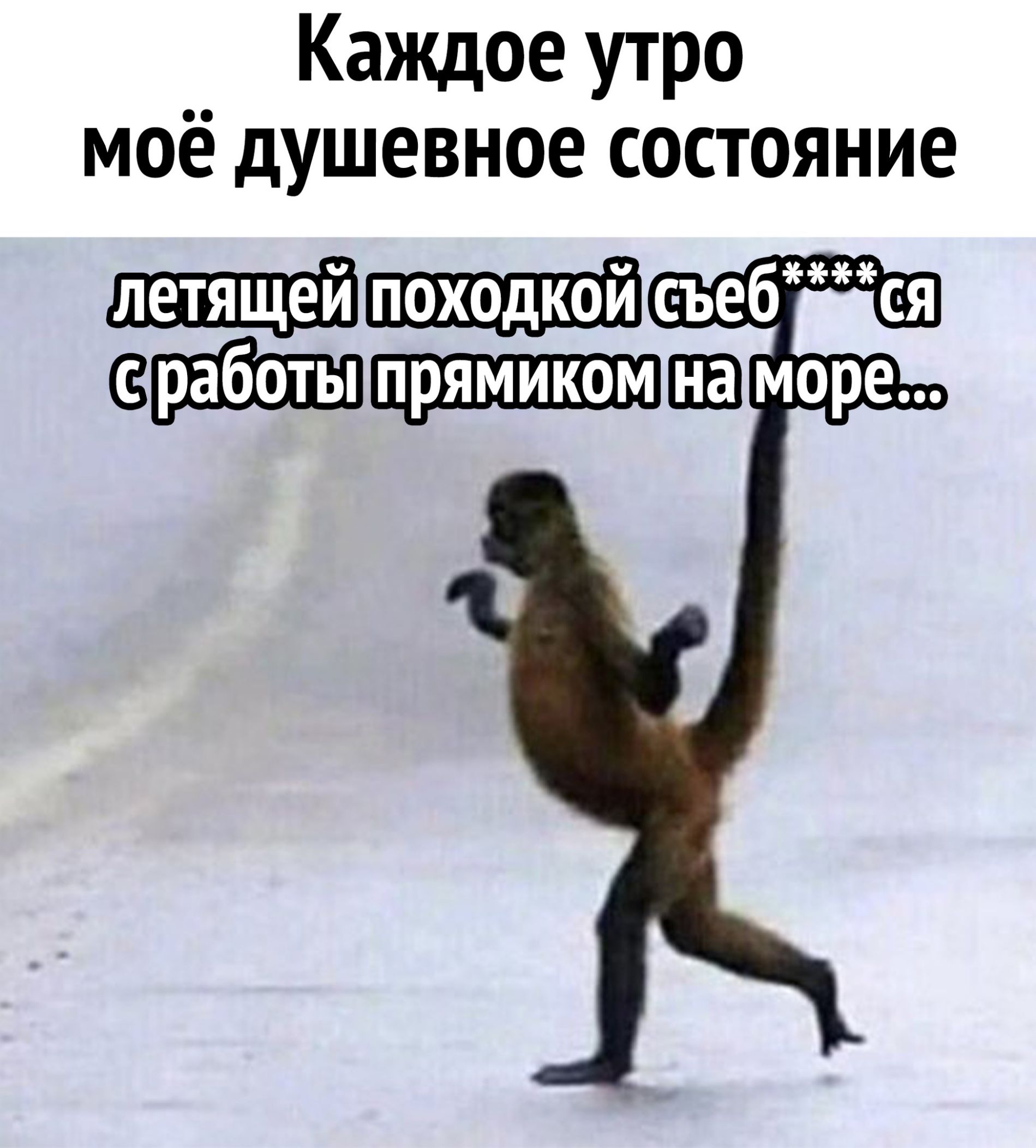 Каждое утро моё душевное состояние йсъебим _ ерщэшлшшзша море