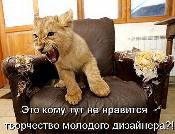 Это кому тут не нравится рчество молодого дизайнера