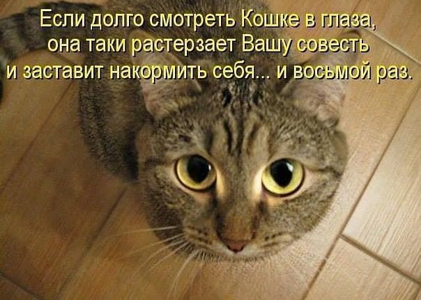 и Если долго смотреть Кощв _ра она таки равтерзает Вашуіфіа и заставит накёрддить себя и