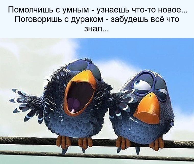 Помопчишь с умным узнаешь что то новое Поговоришь дураком забудешь всё что знал