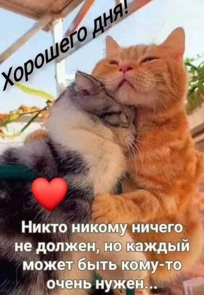 Никто никому ничего не должен ноэ каждый может быть Кёл то очень нужен